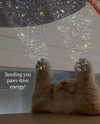 ellaexplicit_ Altpins Profile Picture