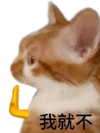 milkibunshehe Altpins Profile Picture