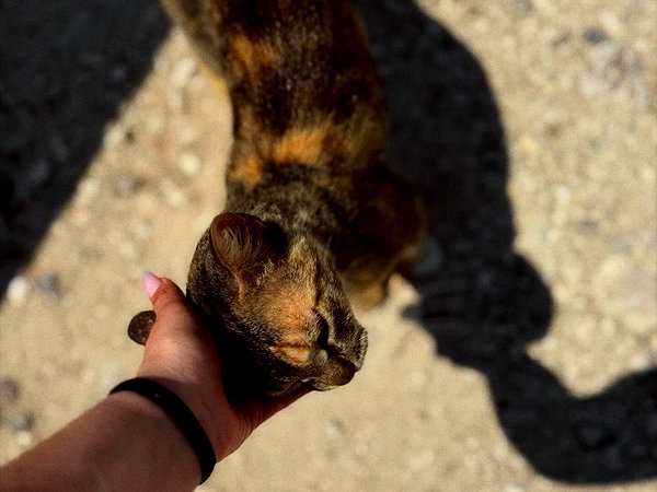 rei.sigalov instagram image archive image