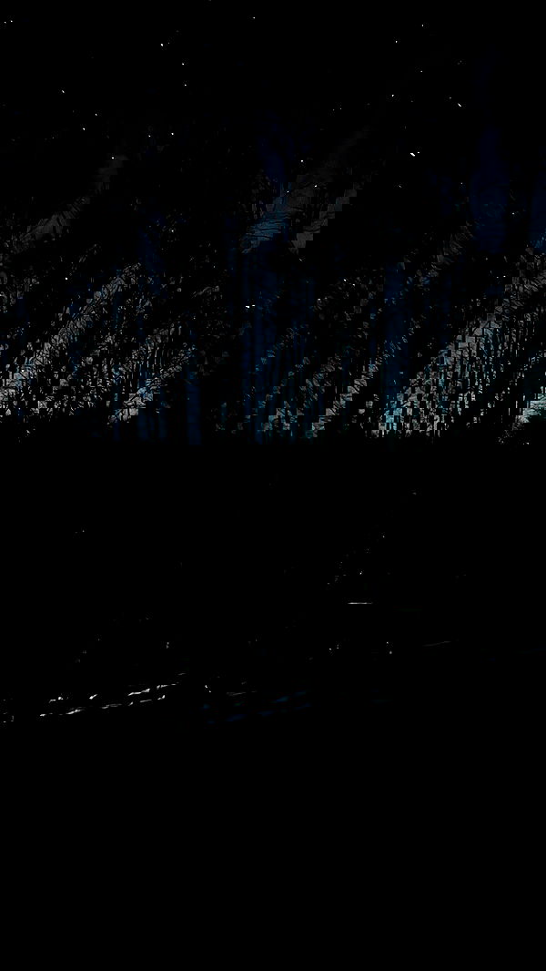 annfigma annfigma archive image