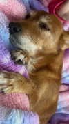 bat.wiings Altpins Profile Picture
