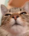 nishymoon_ Altpins Profile Picture