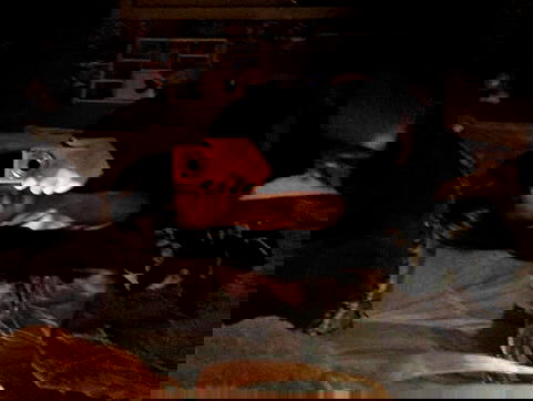 zoxmbiex image ~ Altpins