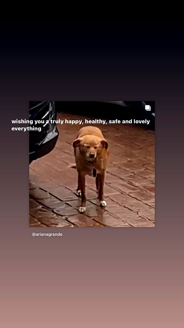 arianagrande instagram image archive image