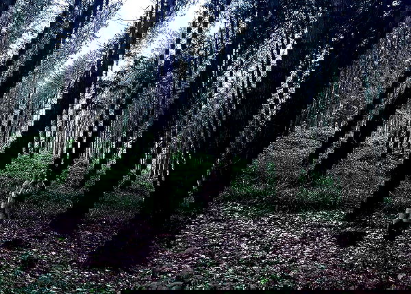 kitty.elliss kitty.elliss archive image