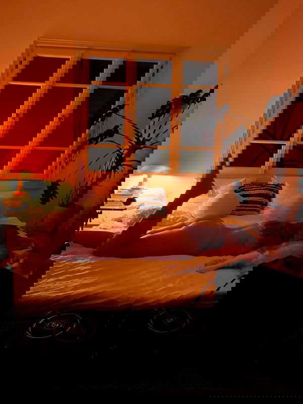 iambohema.v2 iambohema.v2 archive image