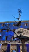 federica.piccinni Altpins Profile Picture