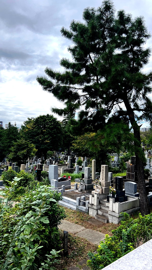 sabiyo instagram image archive image