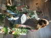 ash.onme Altpins Profile Picture