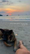 michal_cohen017 Altpins Profile Picture