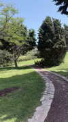 orcoheen Altpins Profile Picture