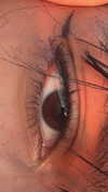 arabelladourado Altpins Profile Picture