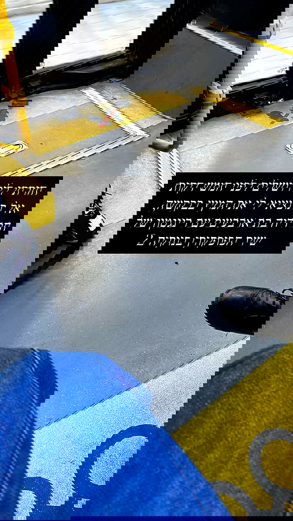 dante_yangpa dante_yangpa archive image