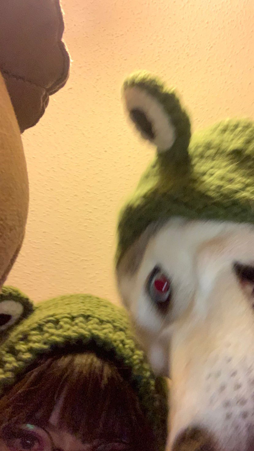 dracuina instagram image archive image