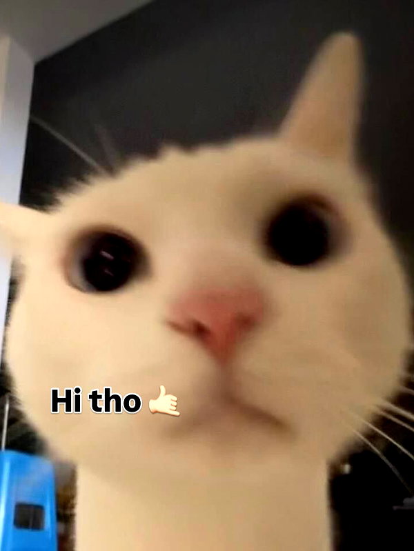 milkibunshehe instagram image archive image