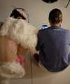 my_dear_petra Altpins Profile Picture