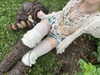 ash.onme Altpins Profile Picture