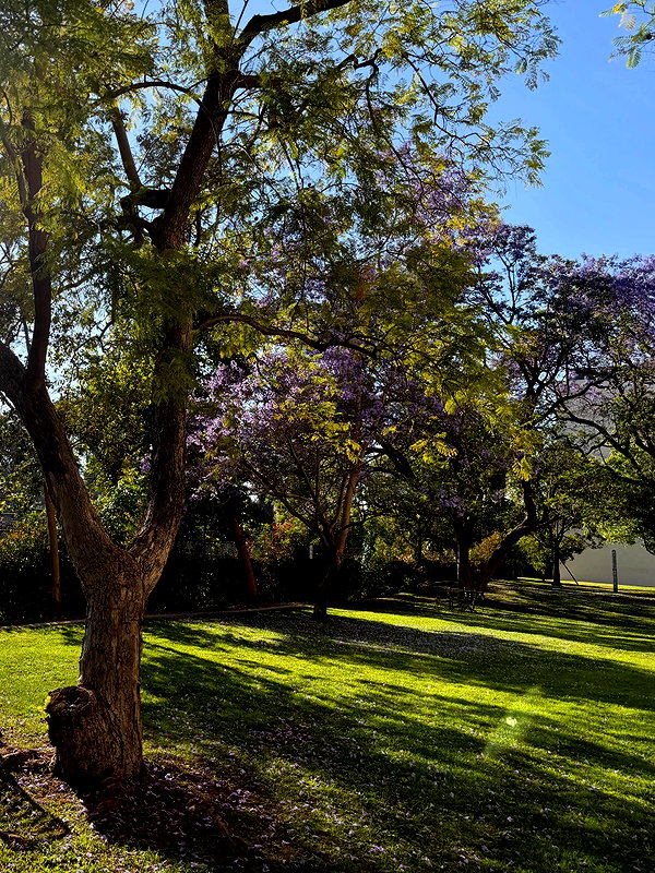 cialikechia instagram image archive image