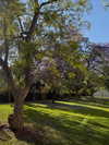 cialikechia Altpins Profile Picture