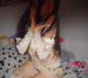 eva.6stuma.com6 Altpins Profile Picture