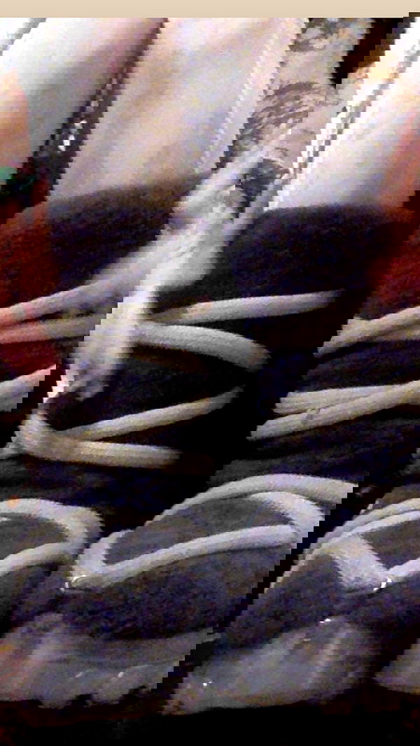 zommmbri zommmbri archive image