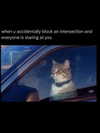ellaexplicit_ Altpins Profile Picture