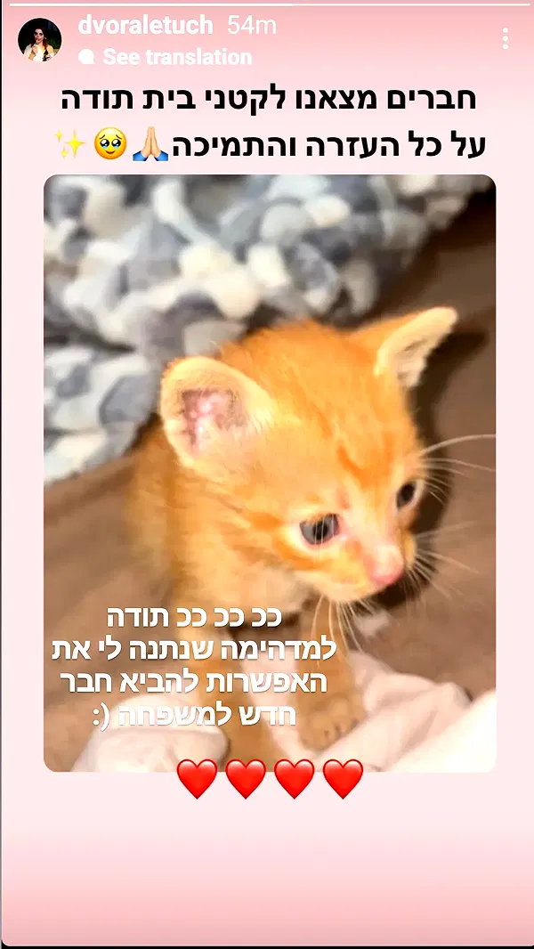 moonyyyya moonyyyya archive image