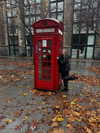 katrina.zaiceva Altpins Profile Picture