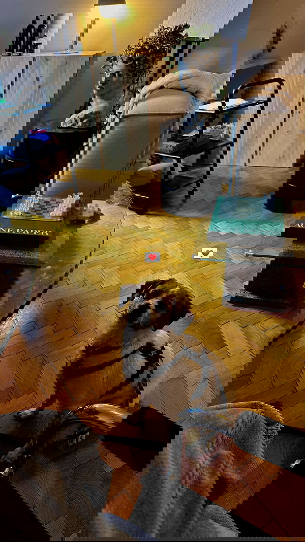 manjolamuriqi manjolamuriqi archive image