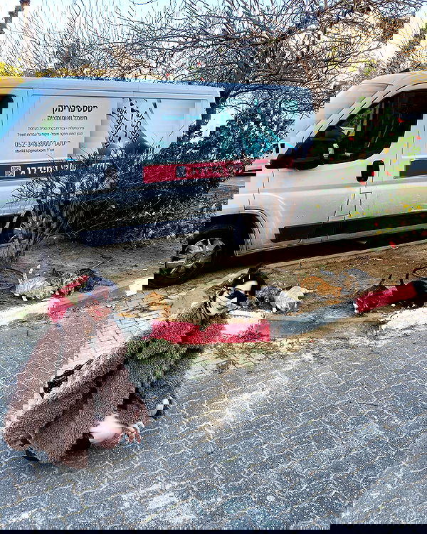 strawberryshanz strawberryshanz archive image