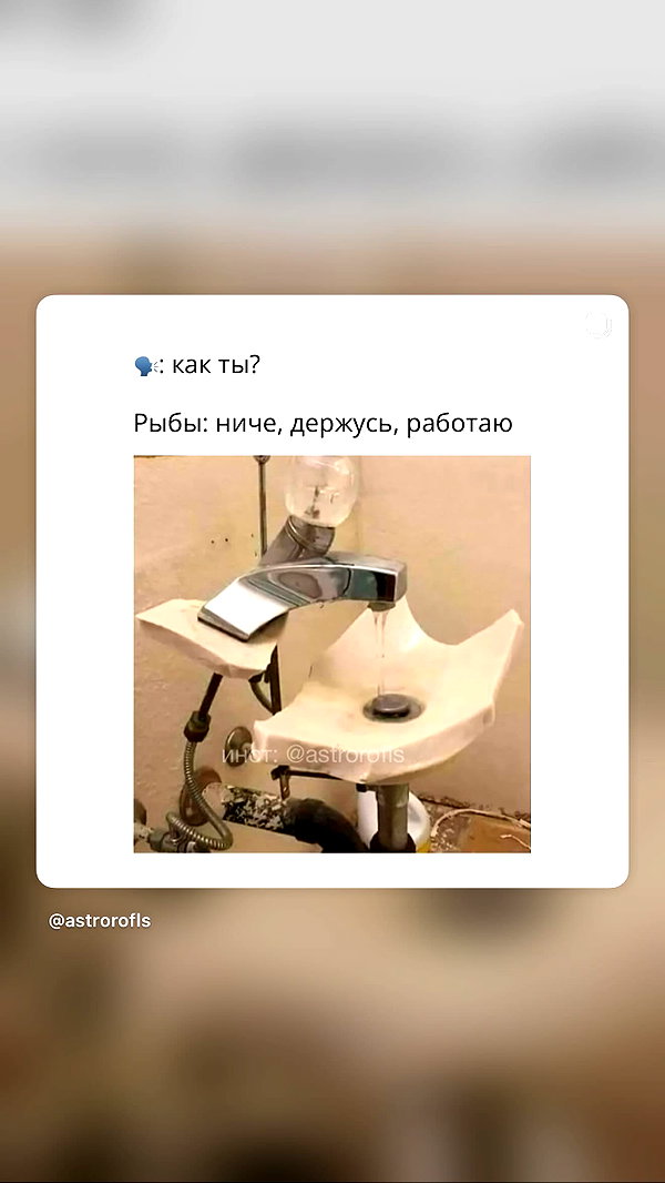 miss_insta_x.18 instagram image archive image