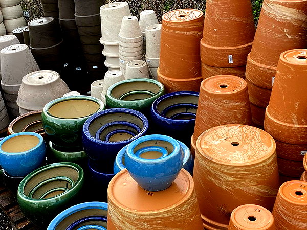 naamasini instagram image archive image