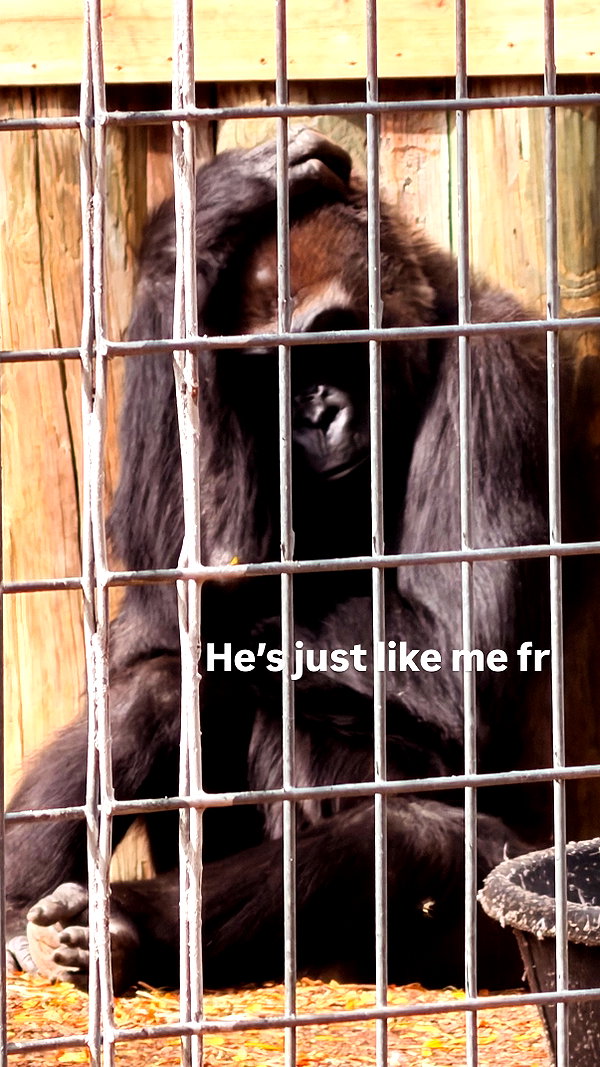melodyoz instagram image archive image