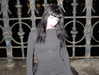 lerasww Altpins Profile Picture
