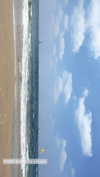nicole_ac Altpins Profile Picture