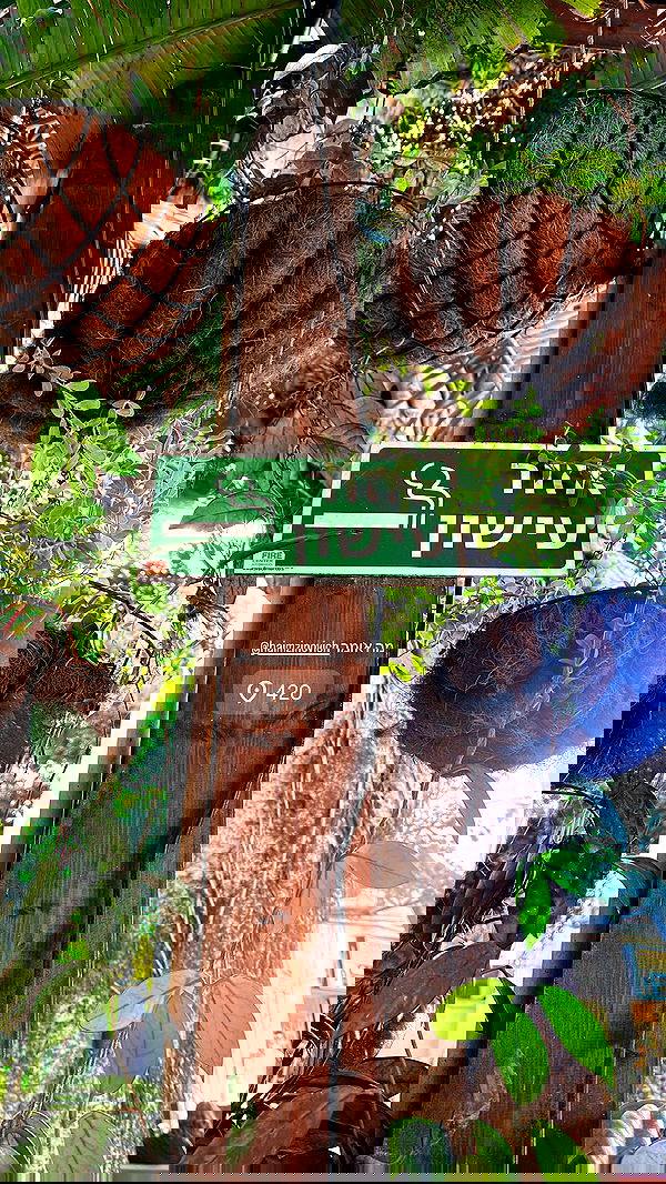 moonliliaght moonliliaght archive image