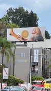 gigihadid Altpins Profile Picture