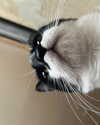 mariagabrielasantos Altpins Profile Picture