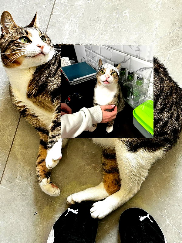 lila.garnik instagram image archive image