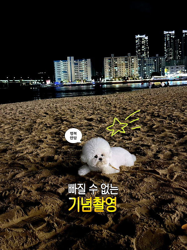 dear.zia instagram image archive image
