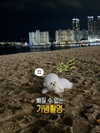 dear.zia Altpins Profile Picture