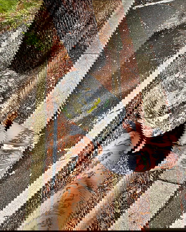 jtilb2 image ~ Altpins