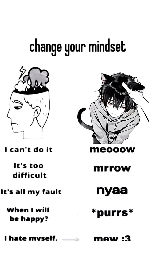 meowwmaxxer archive image