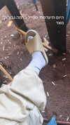 strawberryshanz Altpins Profile Picture