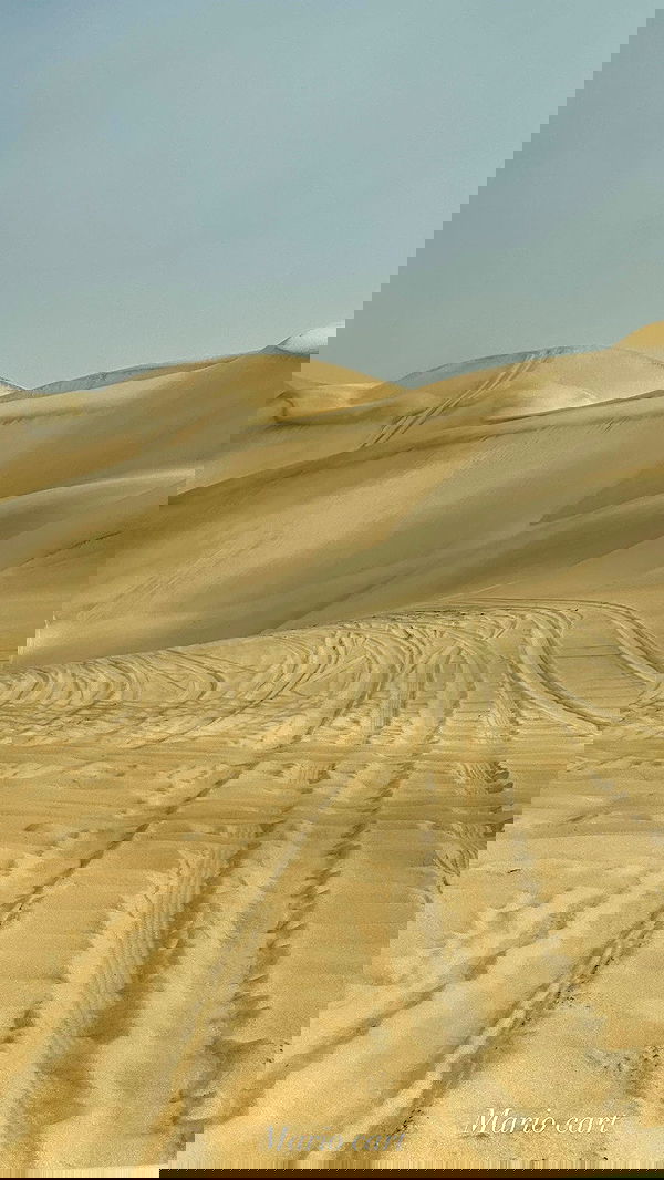 taylor.creeden taylor.creeden archive image