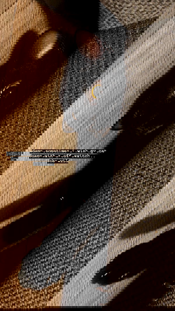 suikomuu suikomuu archive image