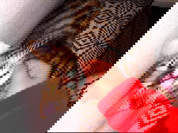 hellokittyangel666 hellokittyangel666 archive image