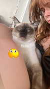 s111y_ccc0nt3 Altpins Profile Picture