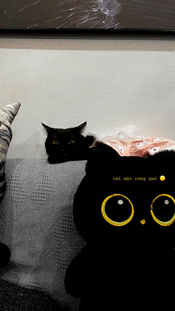 Archived image from @nhuthuuy on Instagram