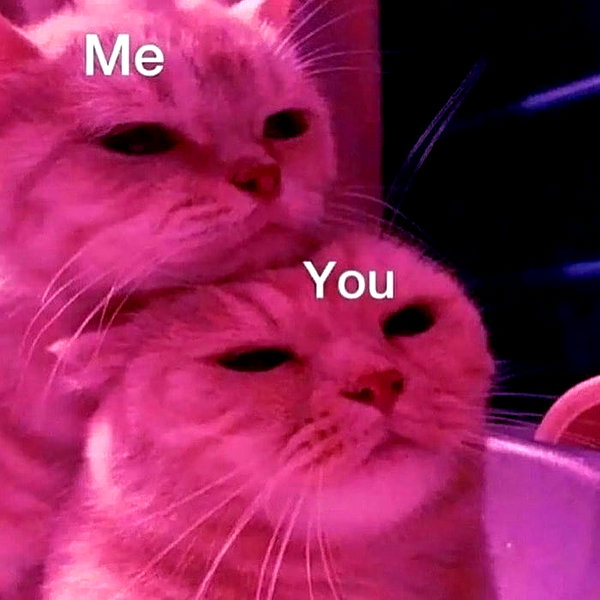 kieraplease instagram image archive image